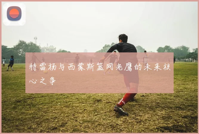 特雷杨与西蒙斯篮网老鹰的未来核心之争