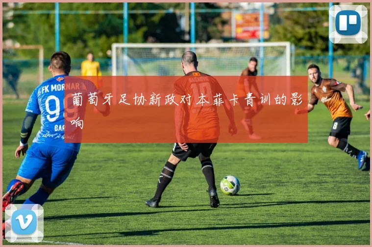 葡萄牙足协新政对本菲卡青训的影响