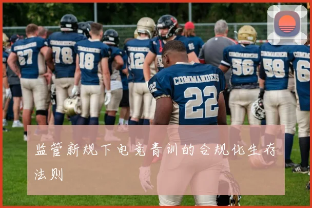 监管新规下电竞青训的合规化生存法则