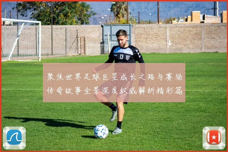 聚焦世界足球巨星成长之路与赛场传奇故事全景深度权威解析精彩篇章